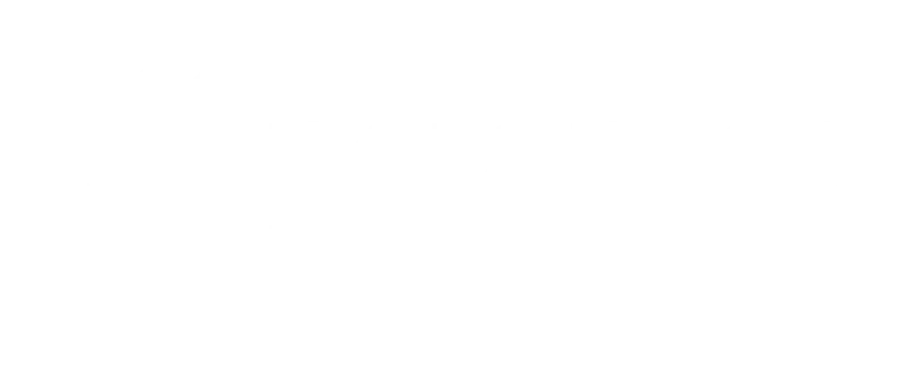 Digital Transformation and IT Services Provider - Netartica E-Solutions